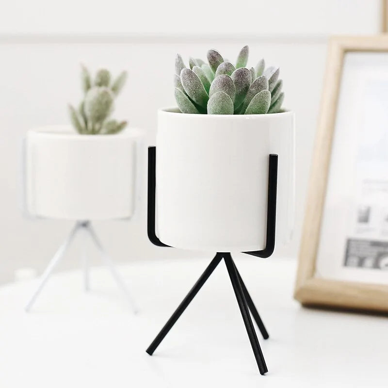 Minimalism Flower Vases